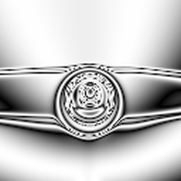 VLM lineage, step 5: Chrome Insignia